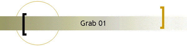 Grab 01